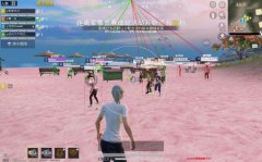 和平精英yy追踪辅助器怎么用 (和平精英YY追踪辅助器使用指南)